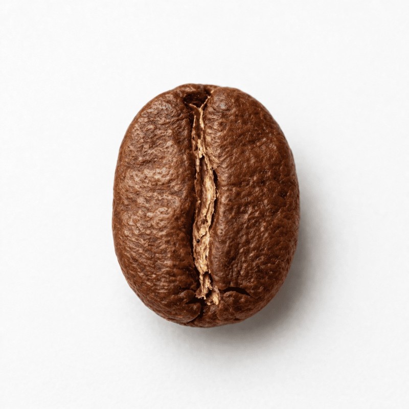 Premium Indonesian Roasted Robusta Coffee Beans | Java Coffee Export Supplier