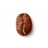 Premium Indonesian Arabica Green Coffee Beans | Specialty Coffee Exporter