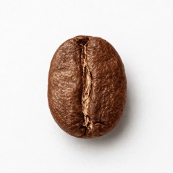 Indonesia Robusta Coffee Beans | Strong Body & Rich Aroma for Global Roasters