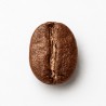 Indonesia Robusta Coffee Beans | Strong Body & Rich Aroma for Global Roasters