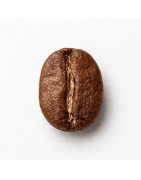 Mount Arjuno Robusta Coffee Indonesia | Premium Specialty Robusta Exporter