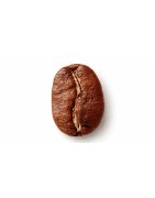 Arabica