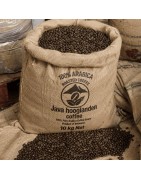 Roasted Arabica Coffee