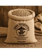 Indonesian Arabica Green Beans Coffee | Premium Specialty Coffee Exporter